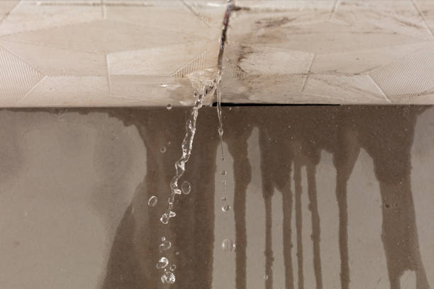 Professional Water Damage Restoration technician working in La Ward, TX
